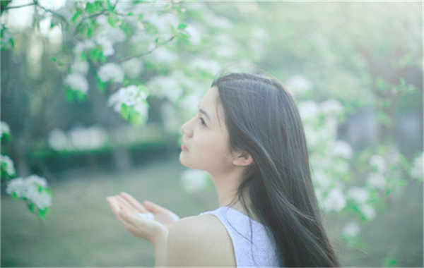 土默特左验血查男女几周可以验(验血查男女结果图)
